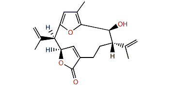 Kallolide A